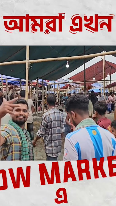 Cow Market 2024 Part-1| #comedy #funny #duetcomedy #baglacomedy #entertainment #কcomedy