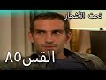 85سنوات الضياع 85سنوات الضياع