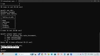 SQL AUTO INCREMENT: आयडी (ID) आपोआप कसा वाढवायचा? | SQL Tips for Beginners