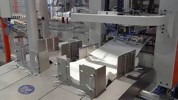 Complete Packaging Line for Lentils