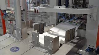 Complete Packaging Line for Lentils