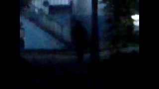 Fake Silhouettes Ghost Sighting