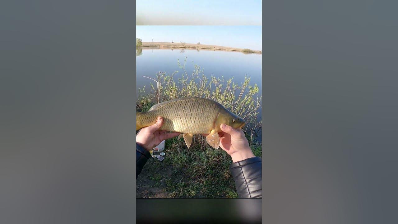 Горе Рыбак