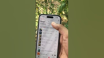 How to Sort Songs in an Apple Music Playlist #iphone #shorts