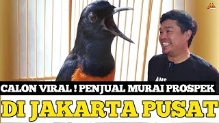 CALON VIRAL ! BANDAR MURAI BATU YANG SEMAKIN BERKEMBANG DAN MAJU DI JAKARTA PUSAT