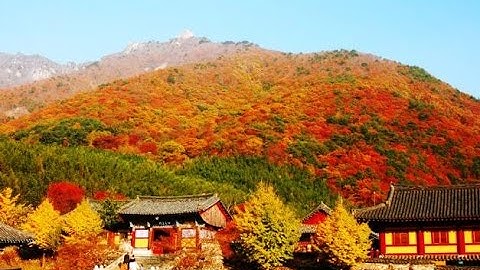 PHP 15강  파일 제어 (2)   서버에 파일 업로드 하기