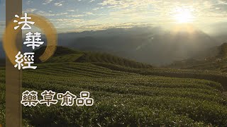 【靜思妙蓮華】法華經藥草喻品 - 五乘各入法中 - 20210707 第888集