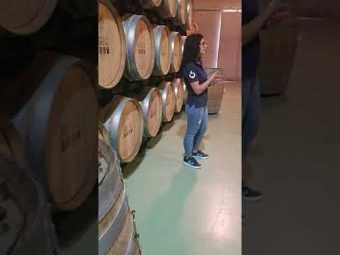 Quinta do Portal Winery tour 2