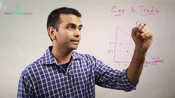 Tradable Permits - Microeconomics