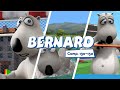 Бернард - 130-132 | Compilation  | Мультфильмы |