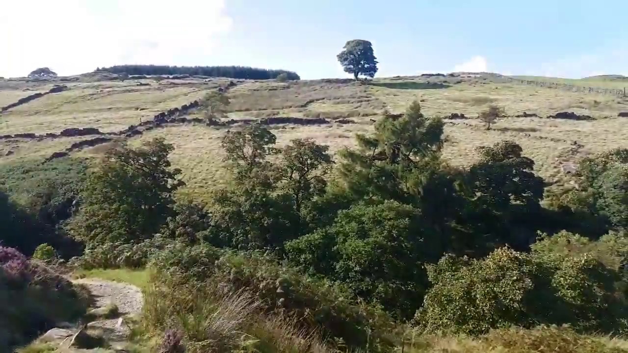 Bronte waterfalls walk