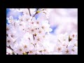 桜/川口恭吾/Cover北原涼