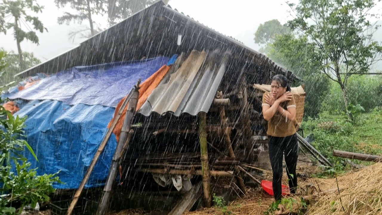 Hardships on the New Road: 17-year-old girl finds abandoned house for 20 years