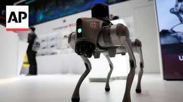 CES 2024: Tech companies show off robots, digital LED barricades and flying cars