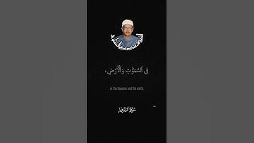المنشاوي سورة الروم
