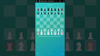 The Rook In Magnus Trainer Easy Basics screenshot 4