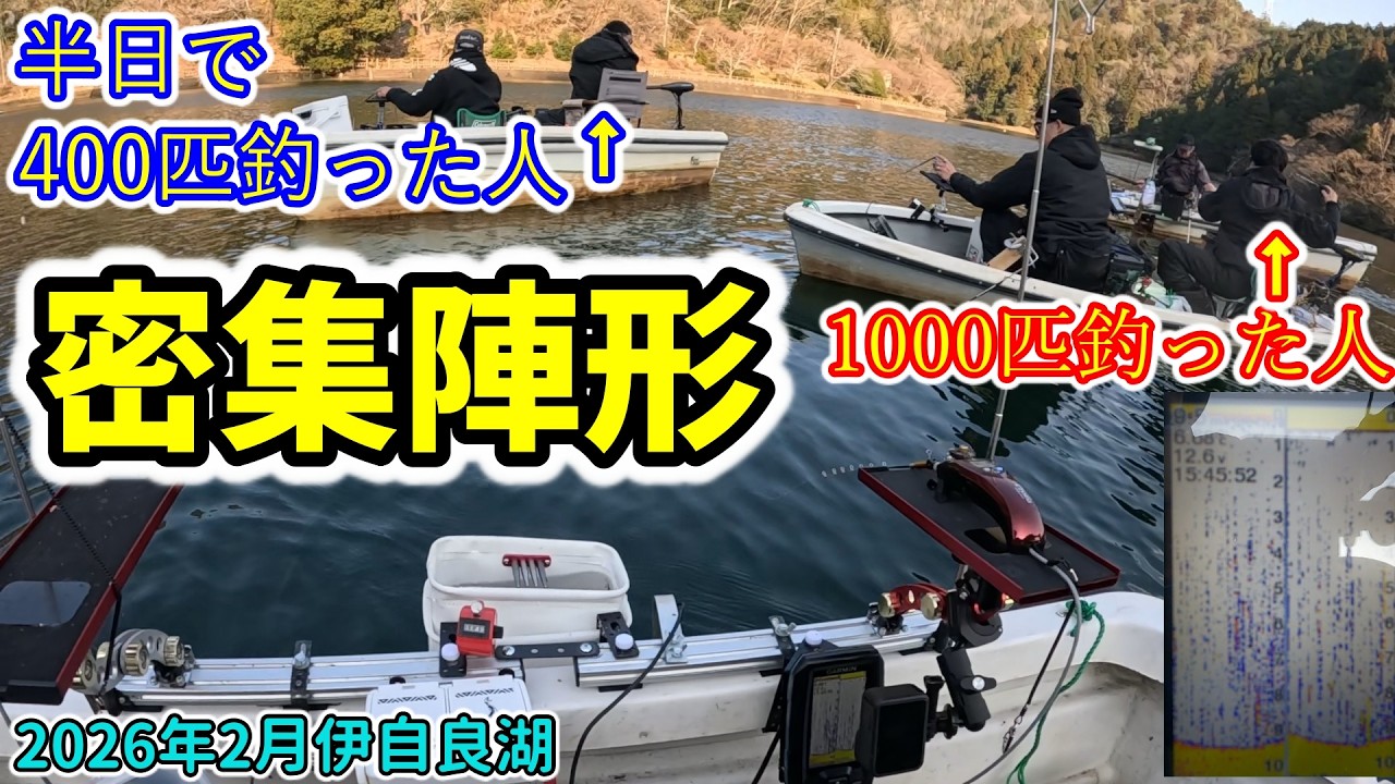 蜜です！！みんなで群れを追っかけろ！