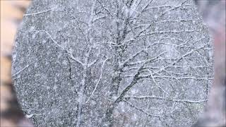 [FREE] HuSH - "Winter Snow" | Lofi Beats to Study/Chill/Relax to