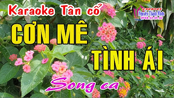 Karaoke tân cổ CƠN MÊ TÌNH ÁI - SONG CA [ Minh Vương - Lệ Thuỷ ]