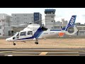 【ヘリコプター】 Eurocopter AS365:565 Dauphin 2/Panther JA65NH  （オールニッポンヘリコプター ）の離陸・東京ヘリポート