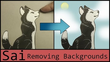 Paint Tool Sai Tutorial: Editing pictures to remove backgrounds