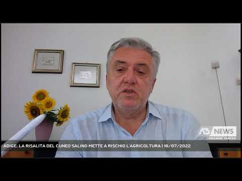 ADIGE: LA RISALITA DEL CUNEO SALINO METTE A RISCHIO L'AGRICOLTURA | 16/07/2022