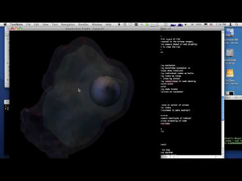 Comet Bead Motility Tutorial 2