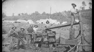 A collection of photographs gold miners during the california rush
taken 1850s. sources: j. paul getty museum, library congress, me...