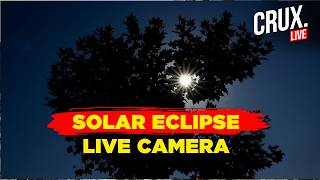 Solar Eclipse 2026 LIVE: Europe Witnesses Historic Total Solar Eclipse | Spain | Iceland | Greenland