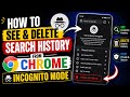 How To See And Delete Chrome Incognito Search History