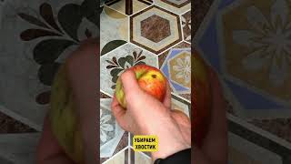 Как разделить яблоко пополам (РУКАМИ!)