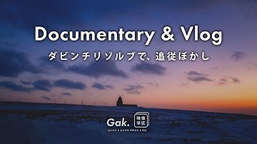 【DaVinci Resolve】ぼかし(モザイク)を追従させる｜Vlog&ドキュメンタリー編集術Ⅲ｜映像学区