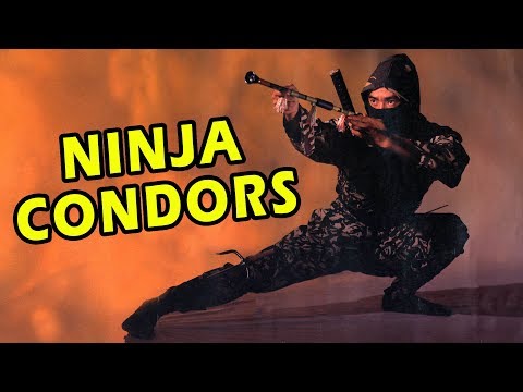 Wu Tang Collection - Ninja Condors