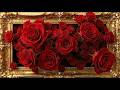 Red Roses in GOLDEN FRAME | Wedding Decor & Aesthetic TV Background | Frame TV Art | TV Wallpaper