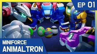 [KidsPang] Miniforce Animaltron｜🦁Ep.1 Animaltron Lion from Animal Planet