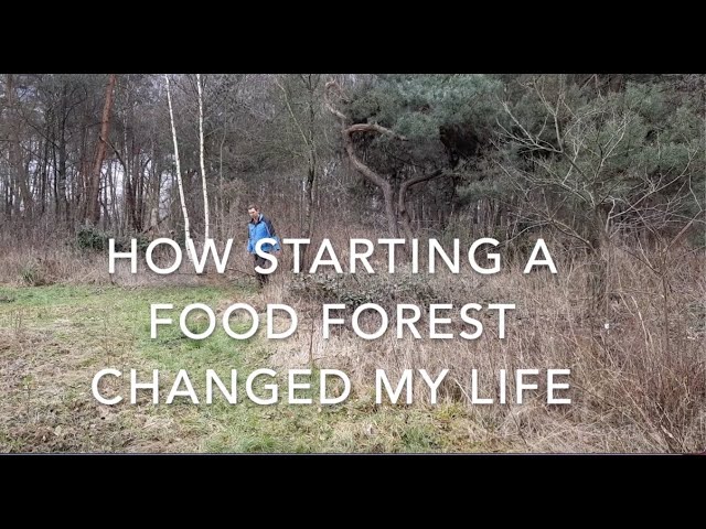 How starting a food forest changed my life