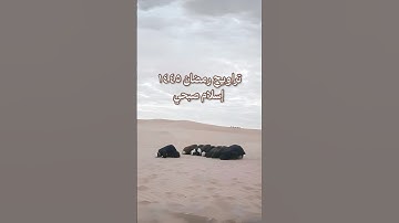 تلاوة حزينة لسورة يوسف للقارئ إسلام صبحي 💔 #اسلام_صبحي #سورة_يوسف #قرآن #اكسبلور #quran #تلاوة