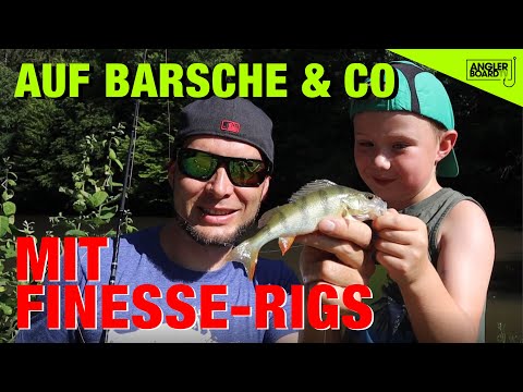 Finesse Im Fokus – Texas & Carolina-Rig | | Barsch