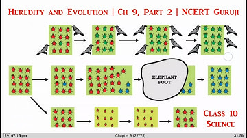 Heredity and Evolution | Class 10 | Science | Ch 9, Part 2 | NCERT Guruji