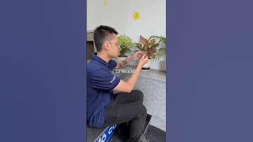 Thì ra...lãng mạn là chạy deadline có ghế công thái học ngồi thoải mái