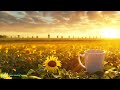 Chill relaxing morning music  clean positive mediation energy 432hz