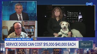 The shocking price tag of service dogs | Banfield