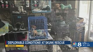 President of skunk rescue charged with animal neglect