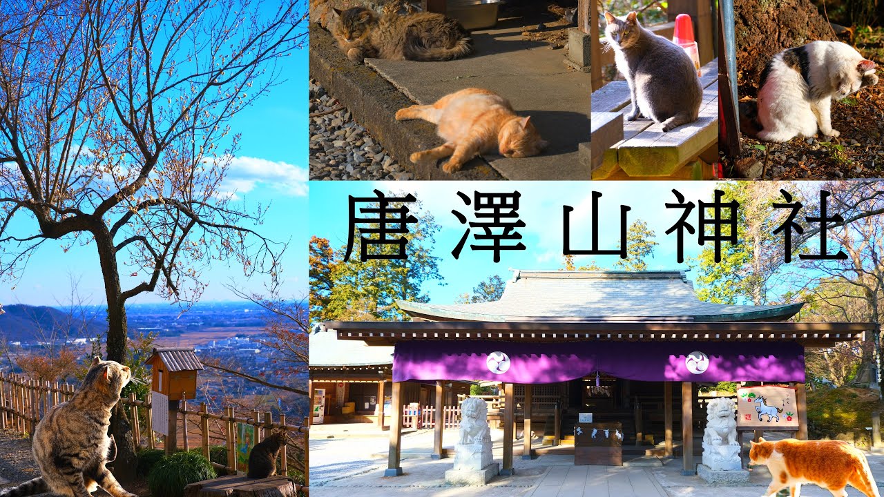 【栃木遊山】　栃木県佐野市　