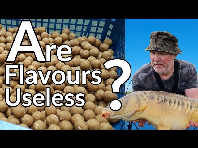 Carp Bait Recipe - Traditional Boilies 