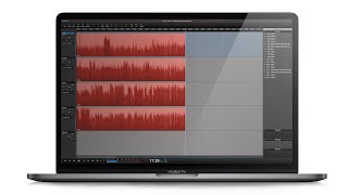 How to record onto multiple tracks in Hindenburg Pro | Hindenburg