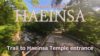 Haeinsa Sound Road Trail 360 4K En