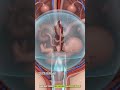 The Beginning of Human Life | Stunning Womb 🌍👶A Baby’s First Moments |Animation#pregnant #anatomy