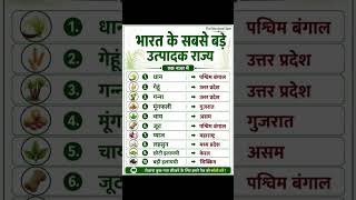 🇮🇳 भारत के सबसे बड़े उत्पादक राज्य | GK Facts You Must Know | India Agriculture Quiz #shorts