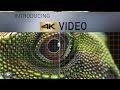 Introducing 4K Video Advantages - A Revolution in Videography